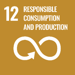 <h3>Responsible consumption &amp; production</h3>
