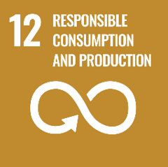 <h3>Responsible consumption & production</h3>