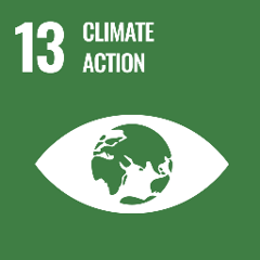 <h3>Climate Action</h3>