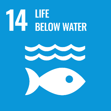 <h3>Life below water</h3>