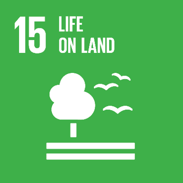<h3>Life on land</h3>
