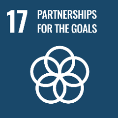 <h3>Partnerships for the Goals</h3>