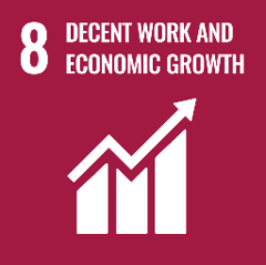 <h3>Decent work and economic growth</h3>
