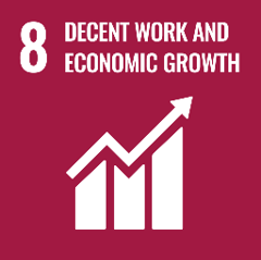 <h3>Decent work and economic growth</h3>