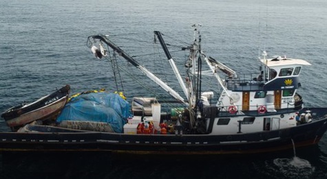 Campaña de investigación 2020 - Barco Pesquero Atlantic I – NIRSA S.A. © PNUD Ecuador
