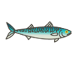 Ecuador Fish 3