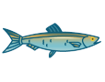 Ecuador Fish