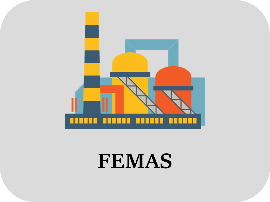 FEMAS