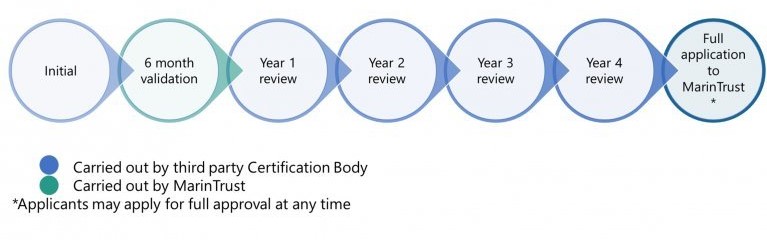 FIP Progression