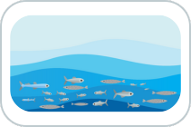 Fisheries
