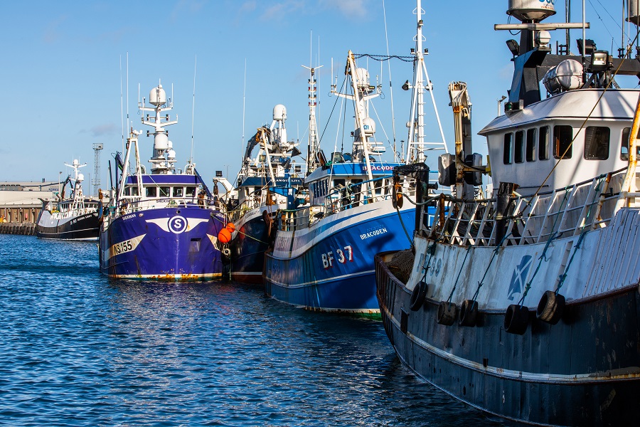 boats