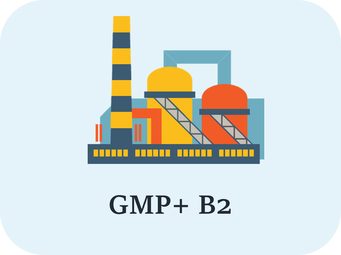GMP