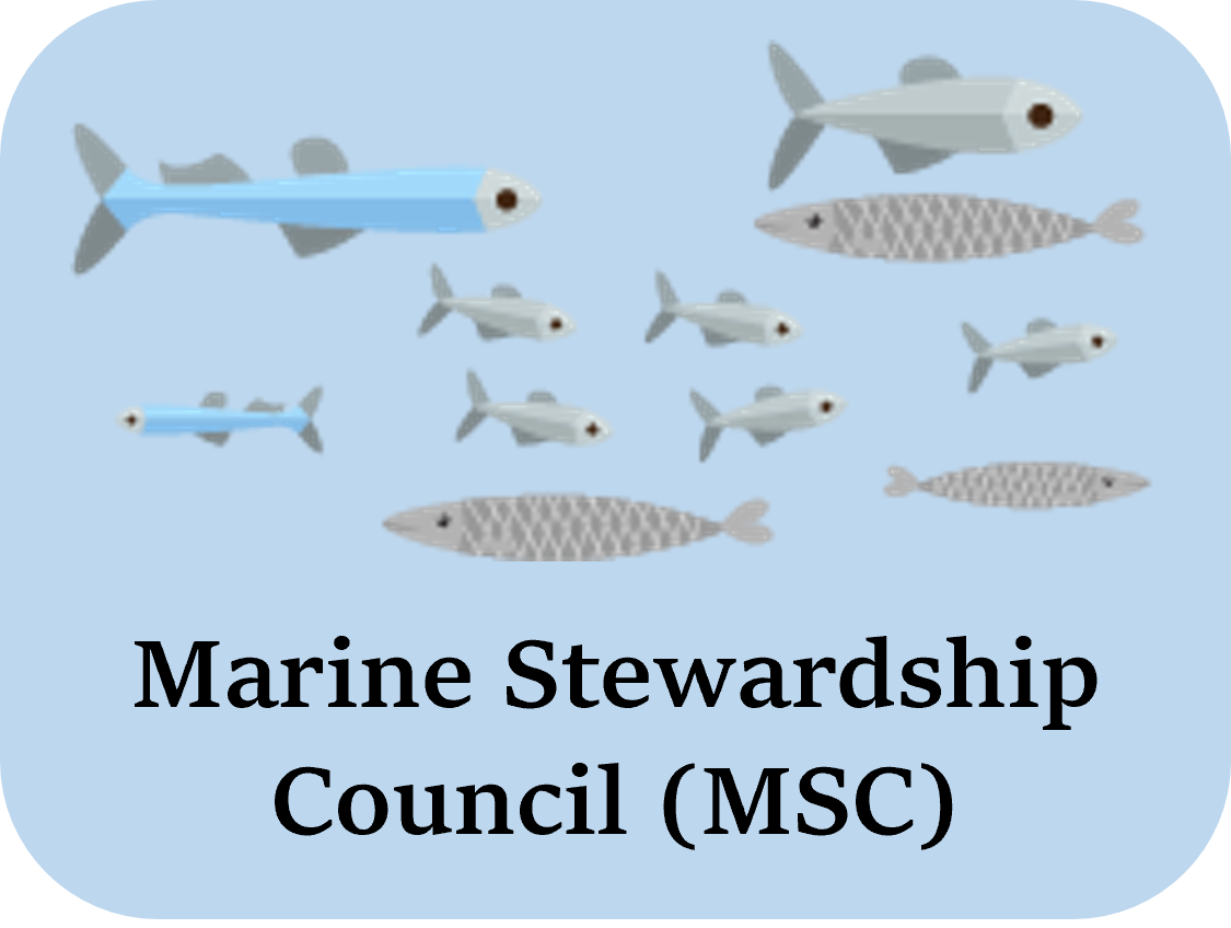 MSC