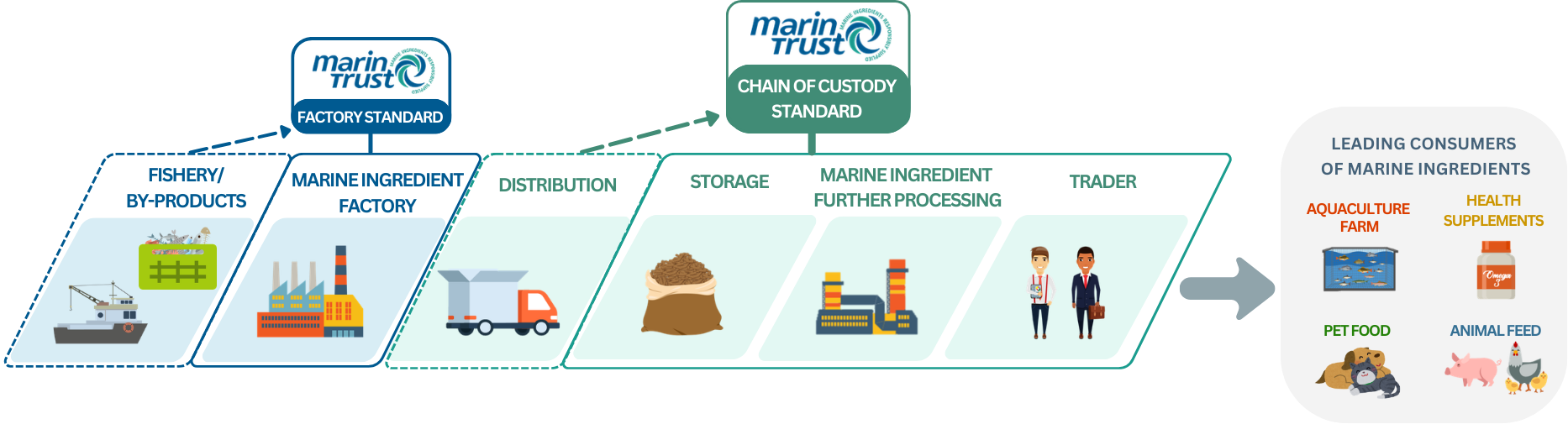 MT Value Chain