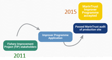 IP Process