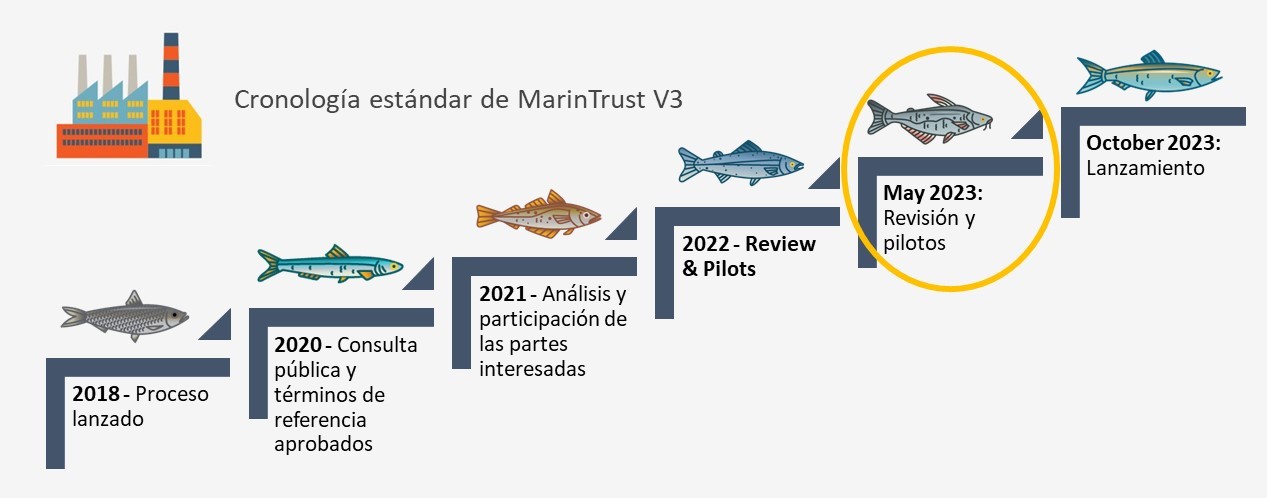 Timeline 