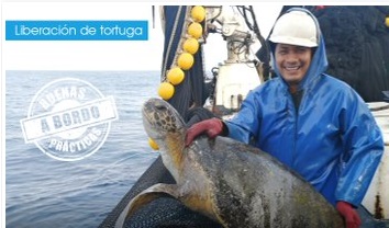 Tripulante - Barco Pesquero Piquero - NIRSA S.A. CNP Ecuador