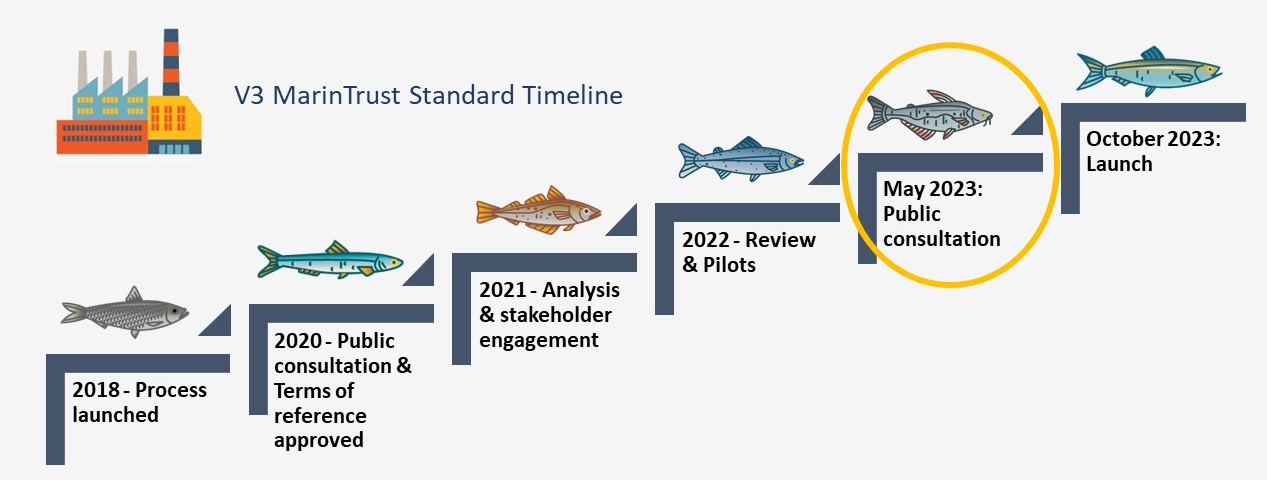 Timeline 