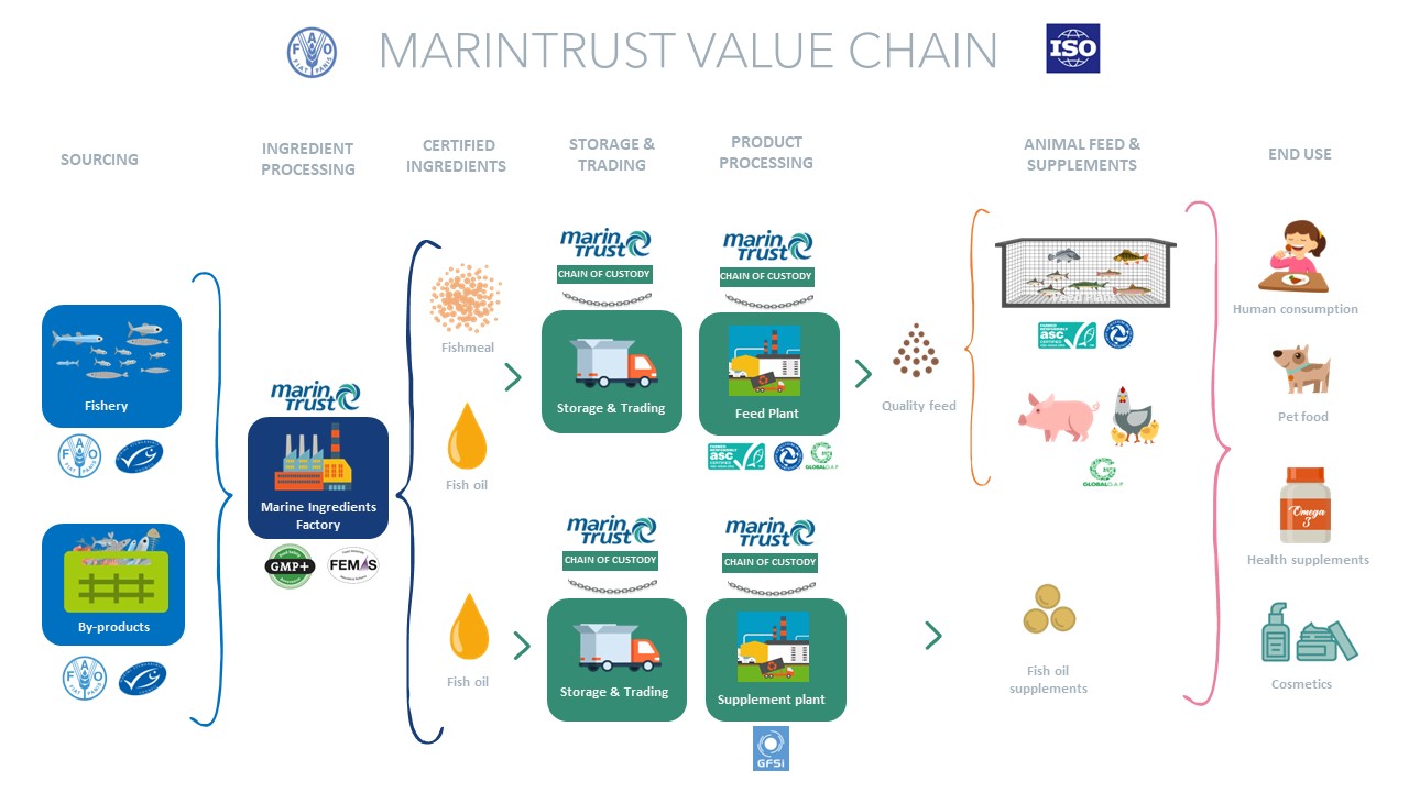 Value chain