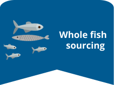 Whole fish sourcing