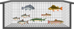 fish farm 