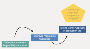 IP process flow 1