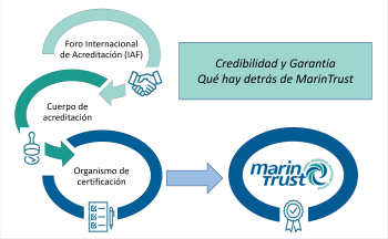 MT - Assurance graphic - Spanish