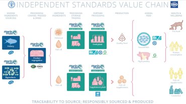 infographic value chain_0.jpeg