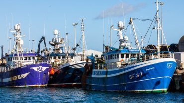 boats
