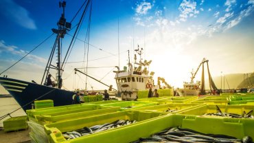 fishing vessel