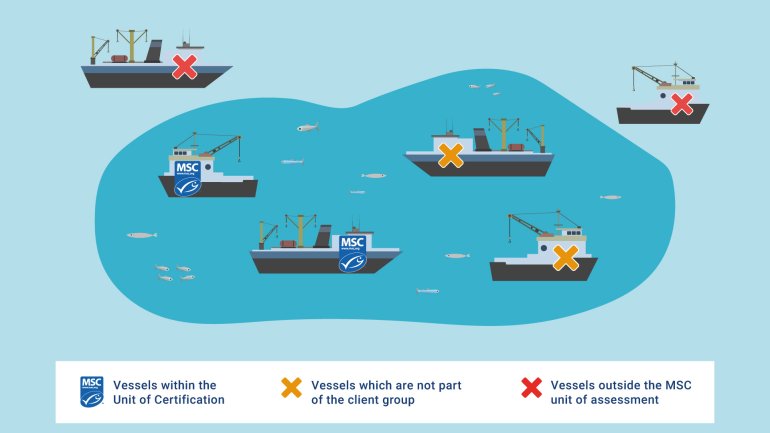 MSC Infographic 1