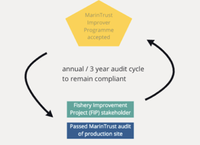 IP process flow 2